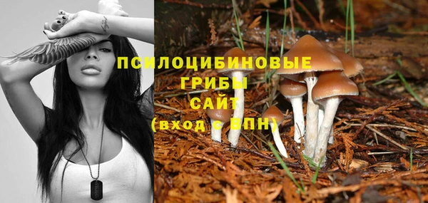 mix Алексин