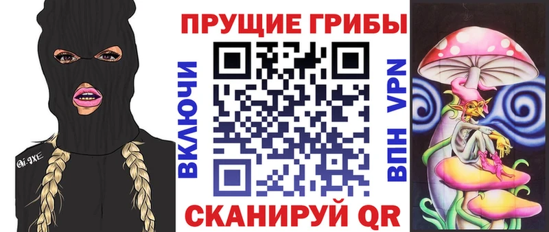 Галлюциногенные грибы GOLDEN TEACHER  ОМГ ОМГ зеркало  Шумерля 